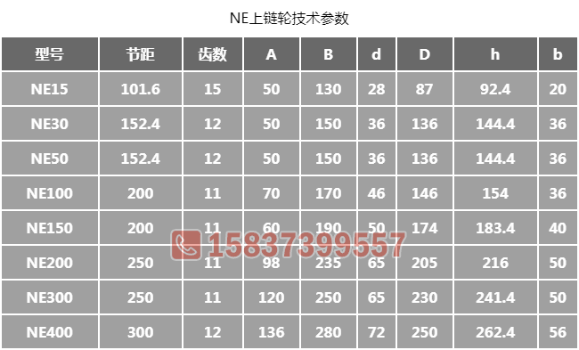 NE提升機鏈輪尺寸